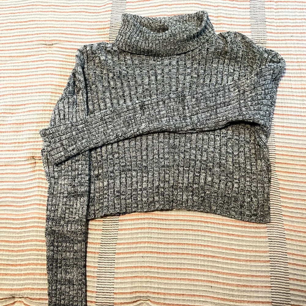 Cropped Turtleneck